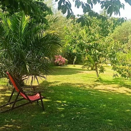 Appartement En Bord De Mer 40 M2, 2 Personnes Etables-sur-Mer Екстер'єр фото